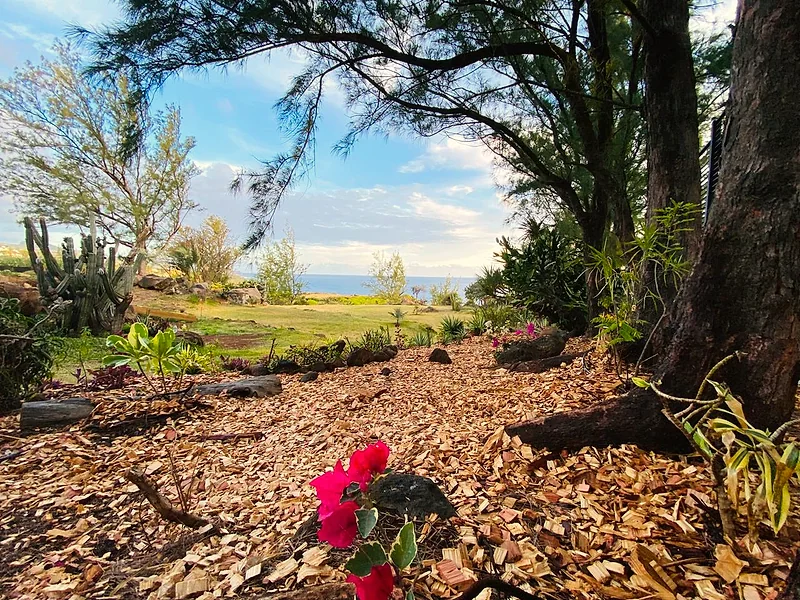 Une allée du jardin, sous les arbres