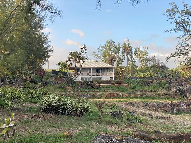 Le jardin du domaine et ses plantes, devant le bâtiment